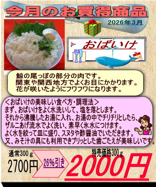 �R���̂��������I�o�C�P