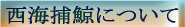 ���C�ߌ~�ɂ���