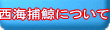 ���C�ߌ~�ɂ���