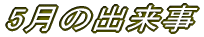5���̏o���� 