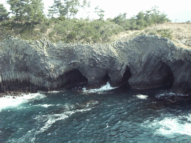 ���c���ł�